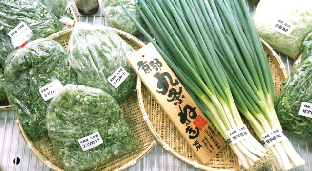 根付き九条ねぎとカットねぎの総合写真
